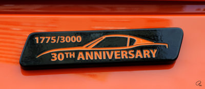 Custom 30th Anniversary Emblem