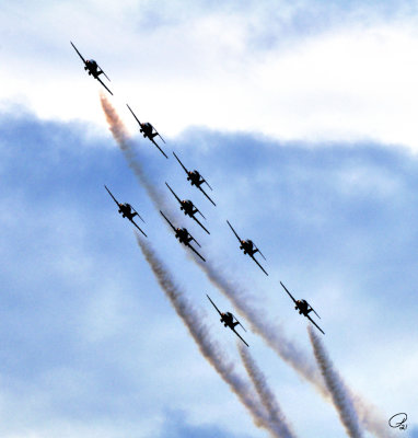 Canada's Snowbirds