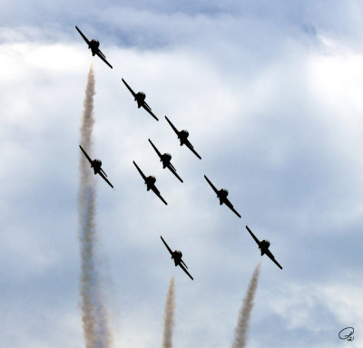 Canada's Snowbirds