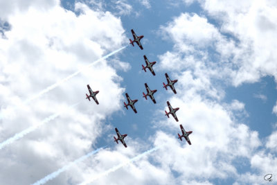 Canada's Snowbirds