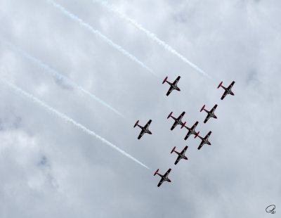 Canada's Snowbirds