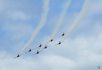 Canada's Snowbirds