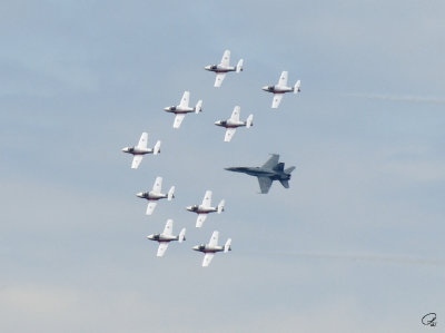 Canada's Snowbirds with CF-18