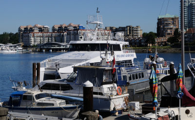 Our white and blue boat back right