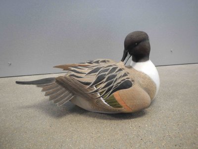 Pintail Decoy