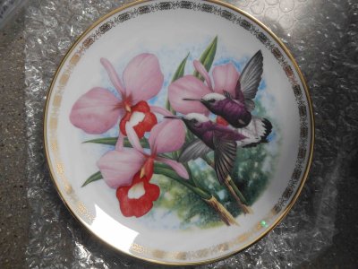 Pearl Coronet Hummingbird Plate