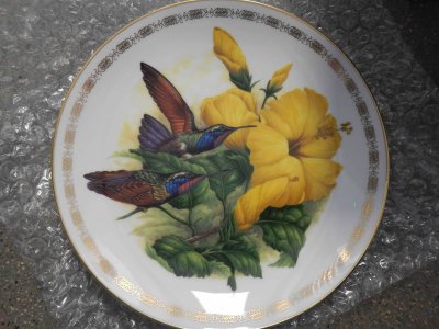 Garnet-throated Hummingbirds Plate