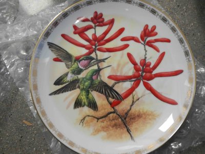 Amethyst-throated Sunangels Plate