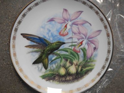 Great Saphirewing Plate