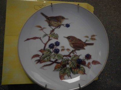 House Wrens Plate