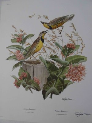 Meadowlark Print
