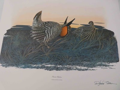 Prairie Chicken Print