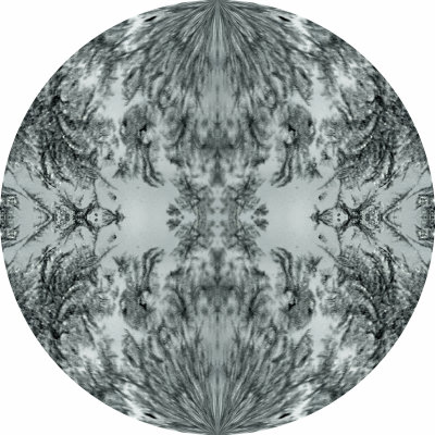 frost mirrox2r 2x4sq 123.jpg