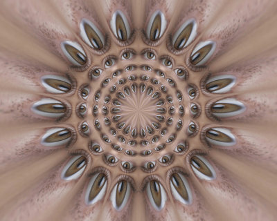 147206900