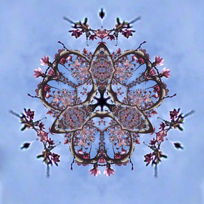 PICT0106mrx2.jpg