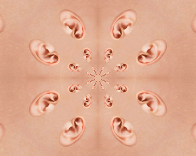 skin2x4w earmirrorext32xfw.jpg