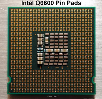 Q6600_Pin_Pads.jpg