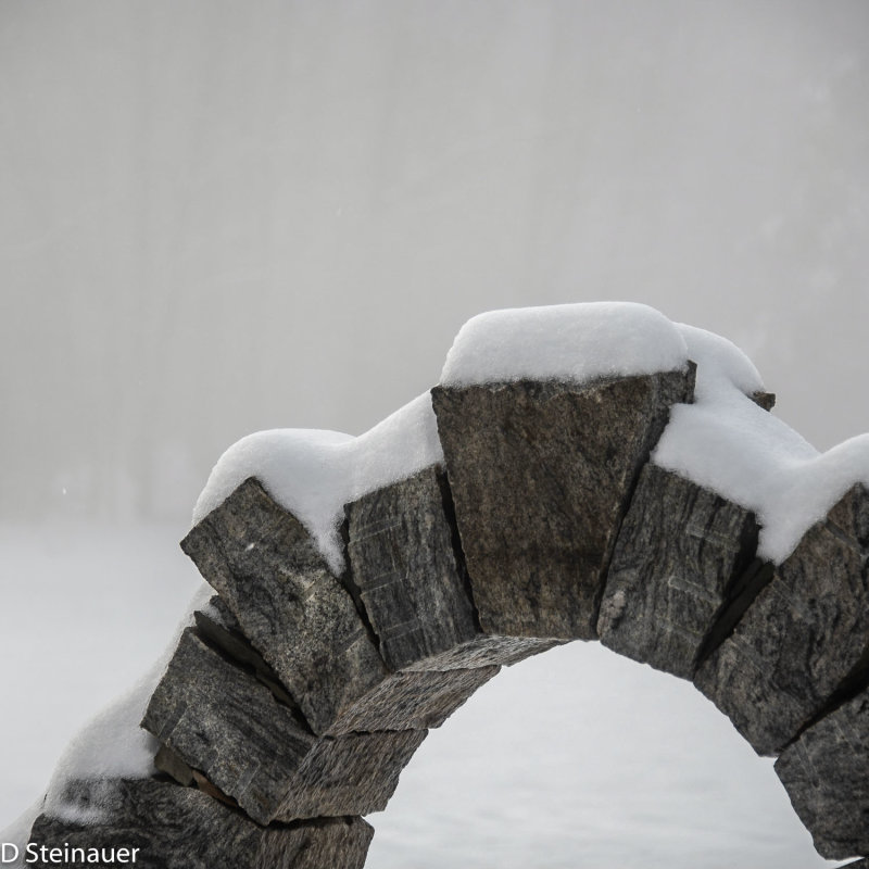 ds20190221-0025 acac.jpg