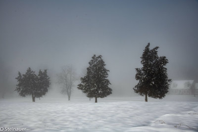Snow and Fog