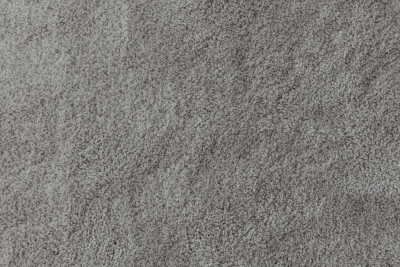 Try to know about the best carpet cleaning company in Toledo | Steamextoledo.com