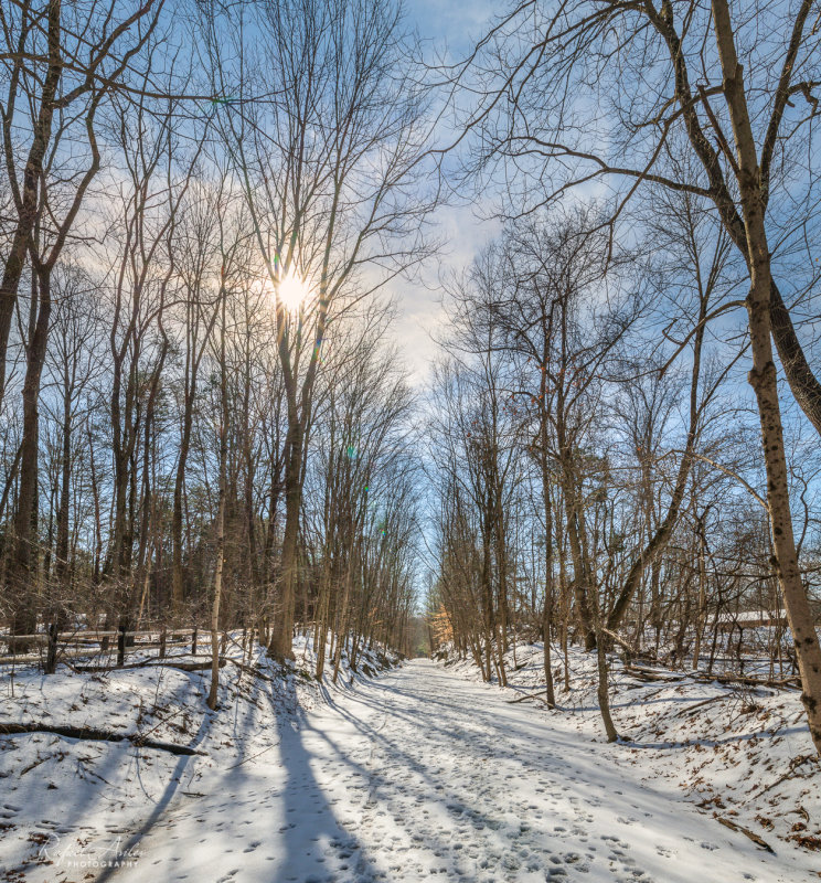 The trail in winter