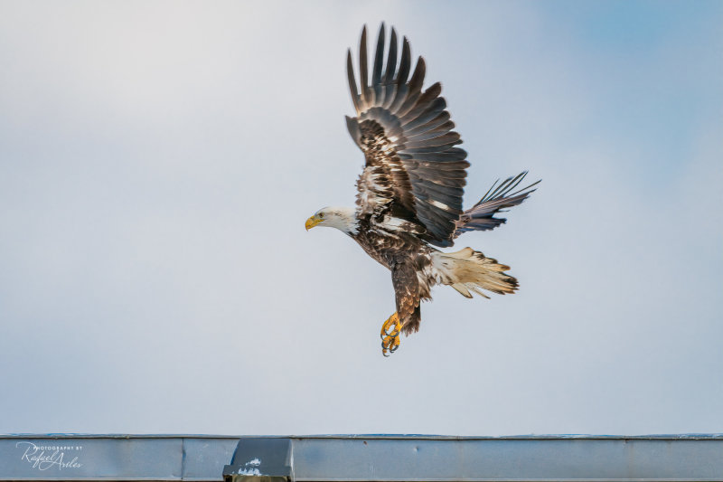 Taking off