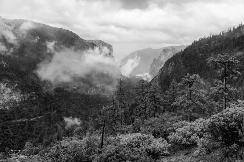 Yosemite Valley