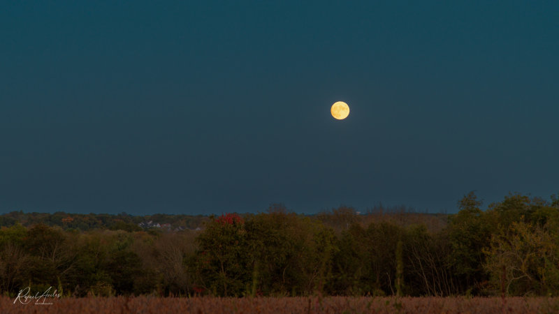 Moonrise. Salfordville, Pennsylvania.