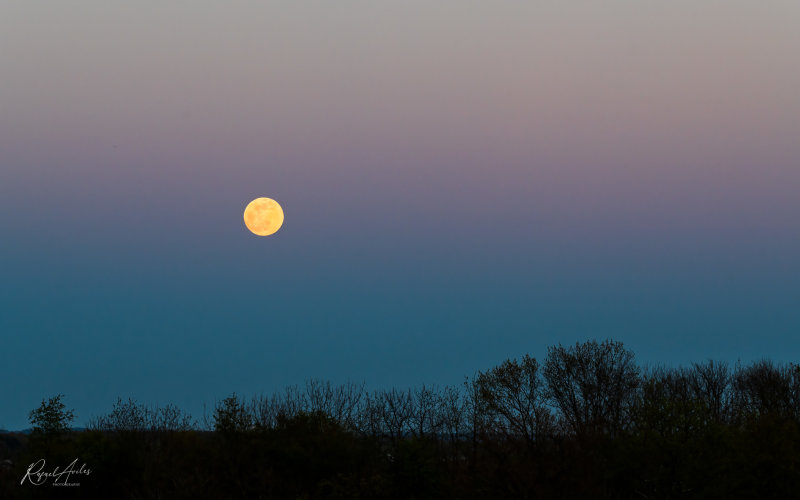 April's Supermoon - Pink Moon