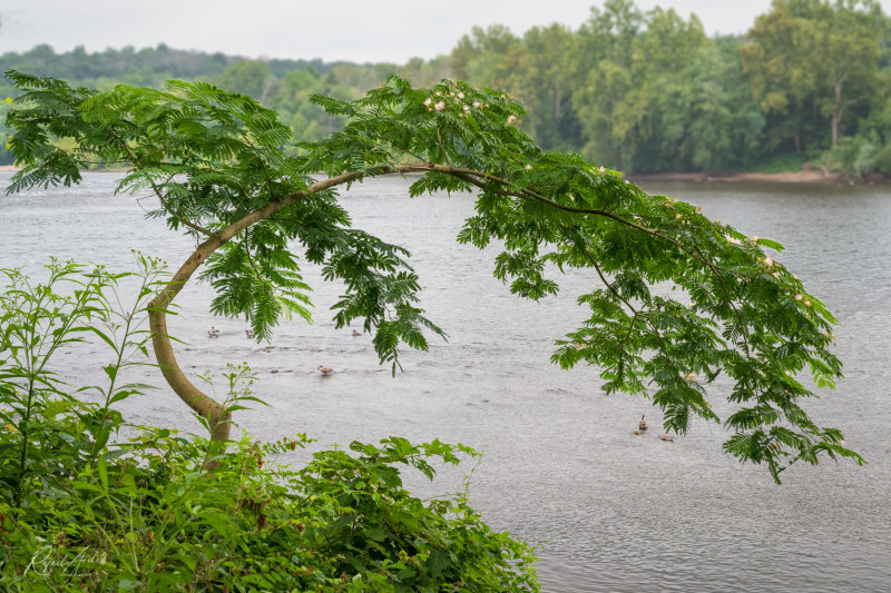 Delaware River