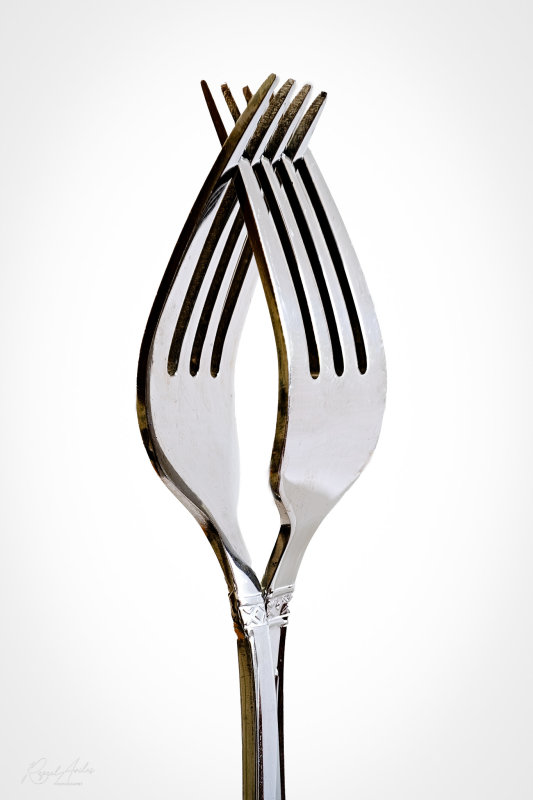What the fork?