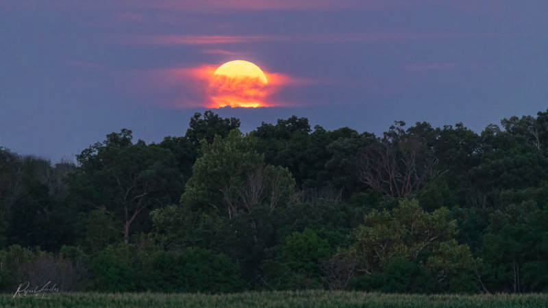 Sturgeon supermoon rising