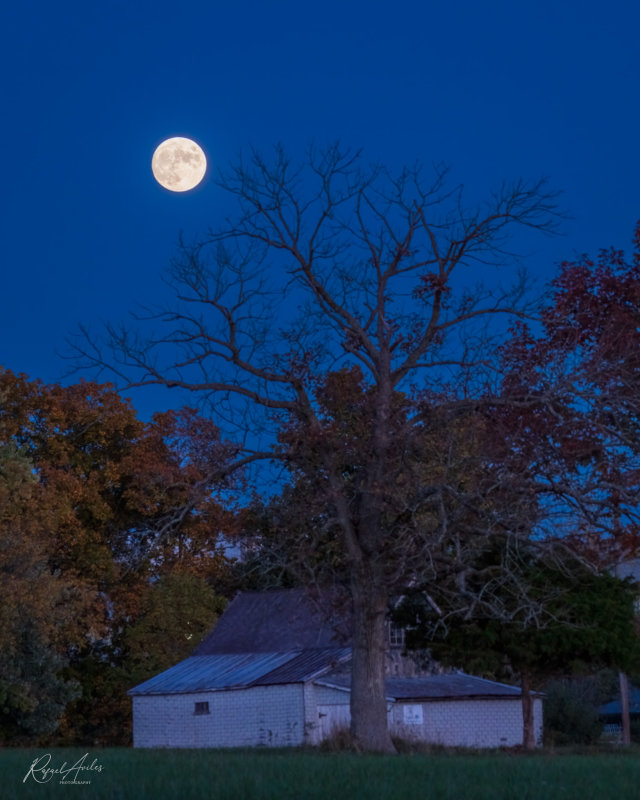 October moon in the blue hour