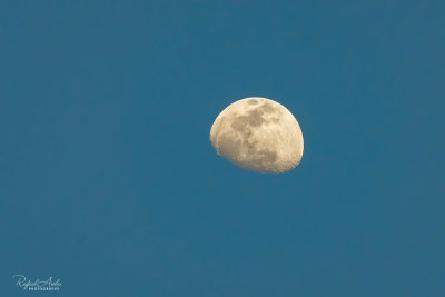 Daytime moon, waxing gibbous