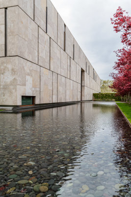 Barnes Foundation Museum