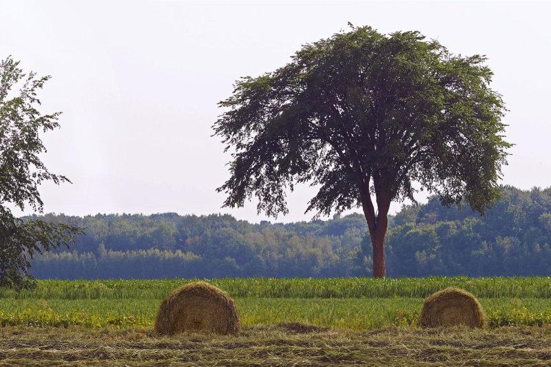 Le Lamontagne