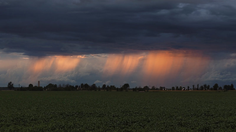 Pierre Joly PHOTOGRAPHE FocusNature