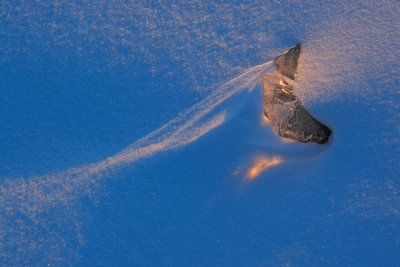 Pierre Joly PHOTOGRAPHE FocusNature