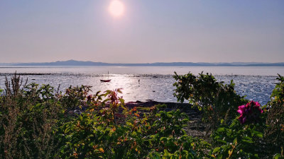 Kamouraska / La Grande Voile BB