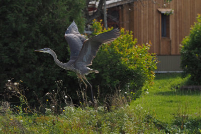 De la belle visite septembrienne