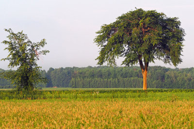 Le Lamontagne