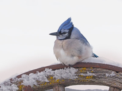 J'AI froid: Dit-il!
