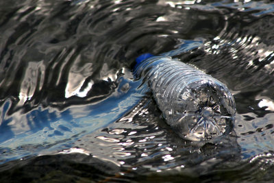 Pierre Joly PHOTOGRAPHE FocusNature