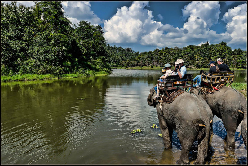 Elephant Water Stop