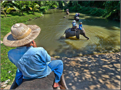 Elephant Ride