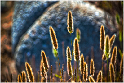 Backlit Glow