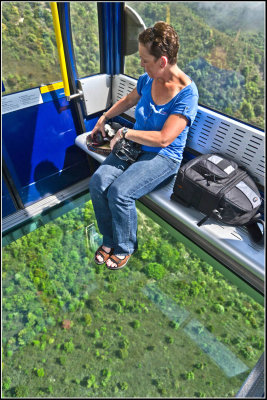 Glass Bottom Tram