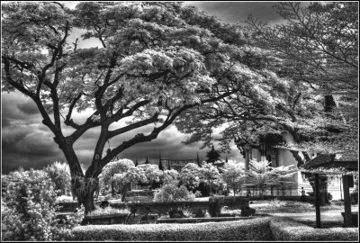 Infrared Temple Gardens