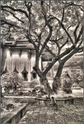 Infrared Temple