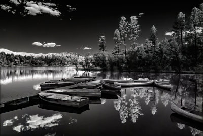 Lynx Lake